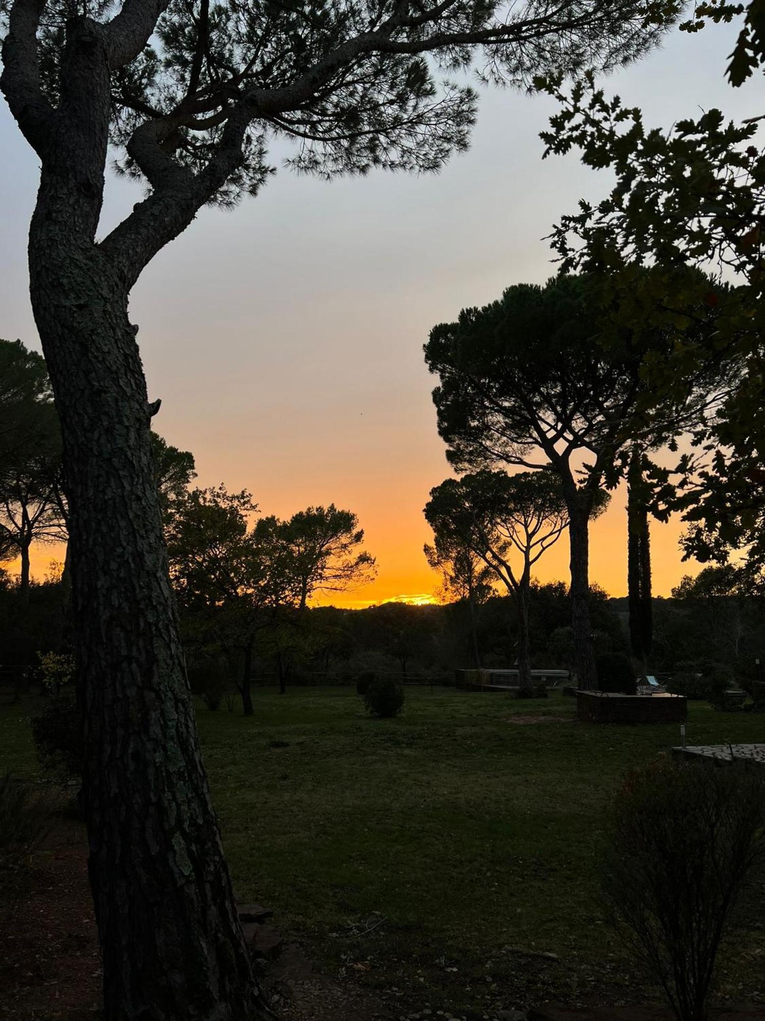 La Villa Le Cannet-des-Maures Exterior foto